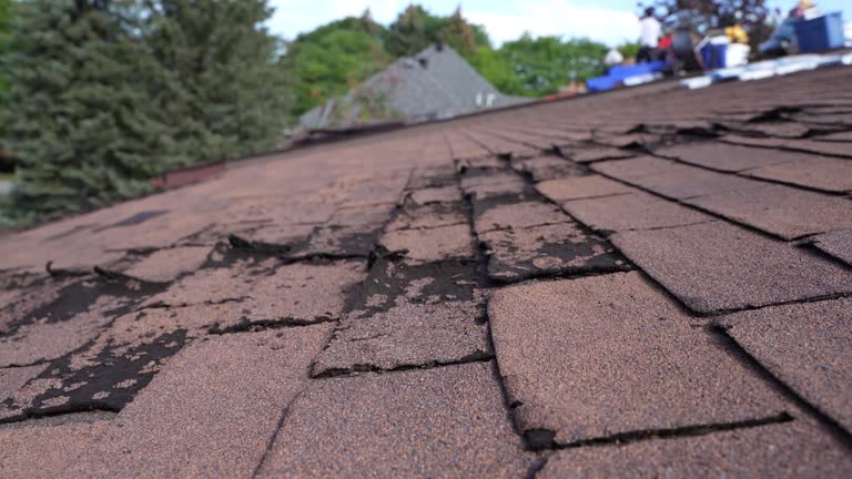 Best Steel Roofing  in Howland Center, OH